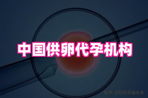 国际助孕网 4